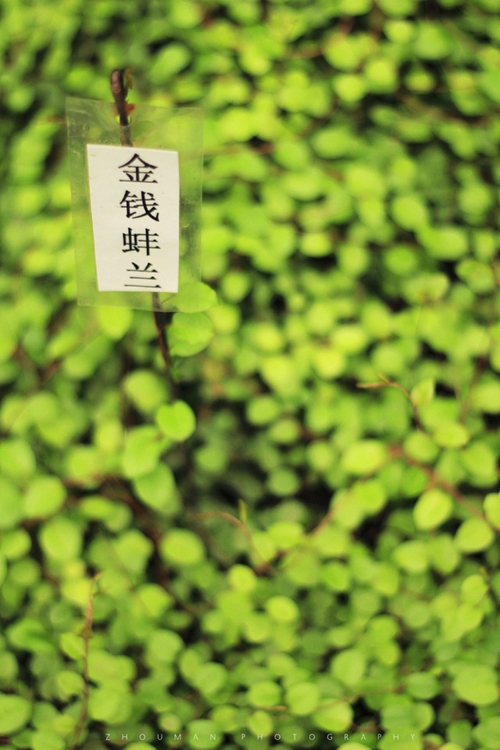 上海摄影培训班