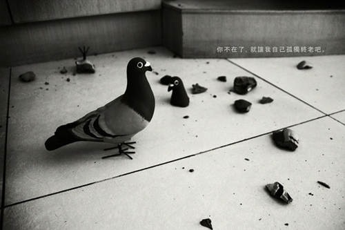 上海摄影课程